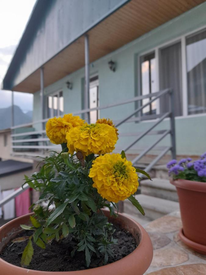 Kera Guest House คัซเบกี ภายนอก รูปภาพ